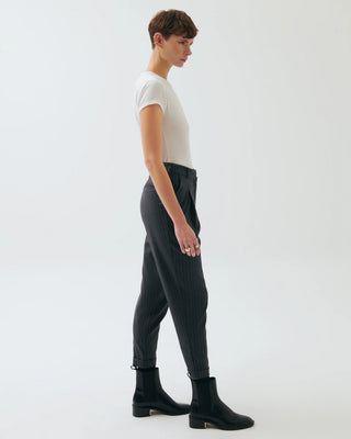 Neli Pinstripe Pleated Pants – Gray