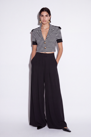 Liza Pleated Wide Leg Pants-Skirt