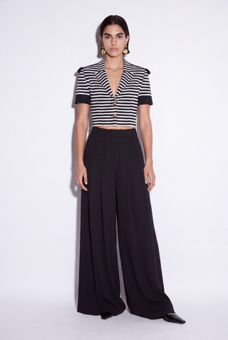 Liza Pleated Wide Leg Pants-Skirt