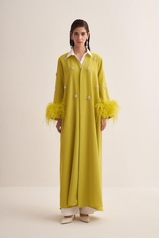Elissa Feathered Crystal Embellished Abaya – Light Green