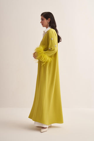 Elissa Feathered Crystal Embellished Abaya – Light Green