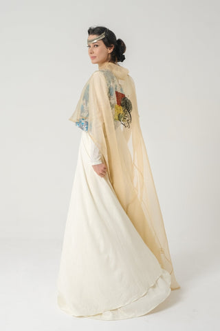 Evolving Elegance